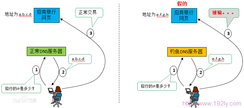 DNS接触示意图