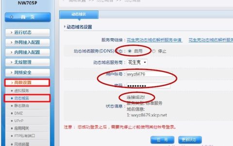 Netcore磊科无线路由器动态域名DDNS设置