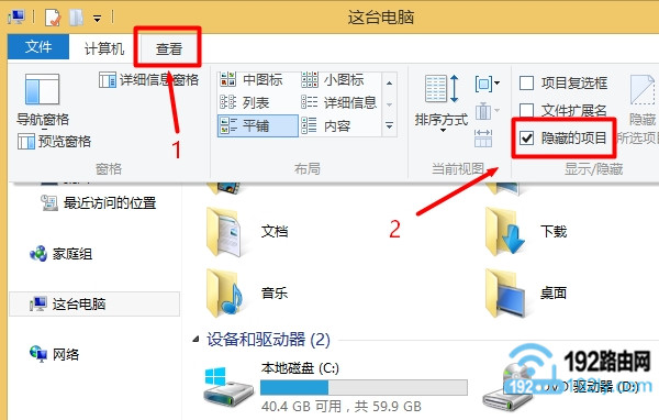 Win8查看隐藏文件/文件夹的方法