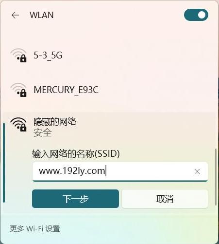 Windows 11怎么连接隐藏网络？